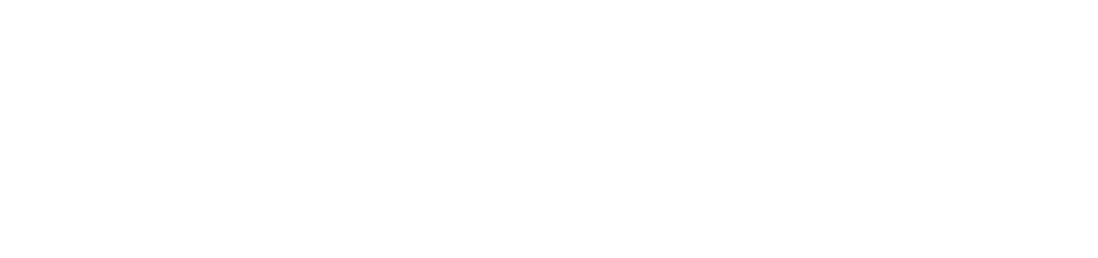 Project co-funded by the European Union