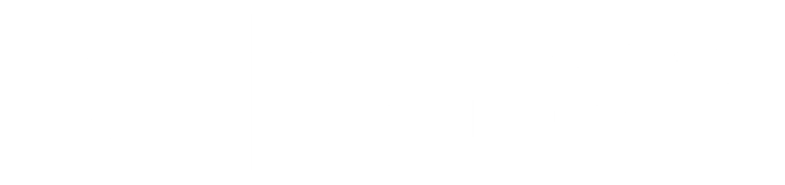 Project co-funded by the European Union